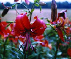 Foto: Gerhard Steinbrück